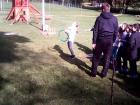IMG_20161017_105823