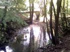 IMG_20161017_111428