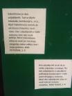 IMG_20170215_155633