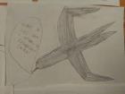 IMG_20170404_083145