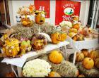 IMG_20171028_141938_945 (1)