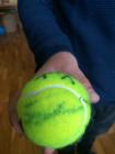 IMG_20180411_083502