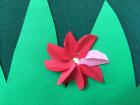 IMG-E631c3d159c938ff391978dc56cb4a86-V