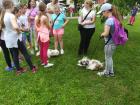 IMG_20180529_165314