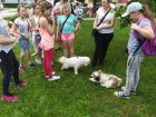 IMG_20180529_165316