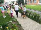 IMG_20180529_165553