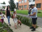 IMG_20180529_165614