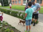 IMG_20180529_165740