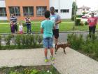 IMG_20180529_165753