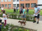 IMG_20180529_165815