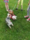 IMG_20180529_172750