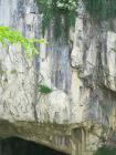 IMG_20180605_115630