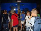 Aqarium Pula (19)