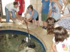 Aqarium Pula (7)