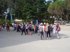 Brijuni  (8)