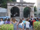 Pula (3)