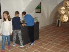 Slika021