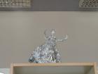 IMG_20190304_112545