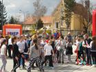 Slika006