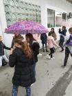 IMG_20190516_114407