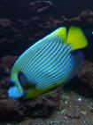 IMG_20190527_162111