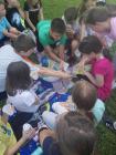 Das Schuljahr 2018_2019 Endet! Sch#U00f6ne Ferien, Liebe Kinder! - 001