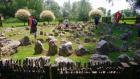 Thumbnail_IMG_7896