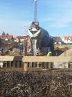 Dogr039