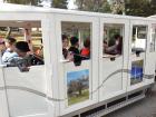 Skola U Prirodi 4.A I 4.D001