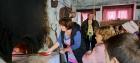 IMG-Aee7df949a43e63c9fc1b0ff9a548aeb-V