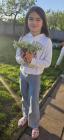 IMG-20240421-WA0012