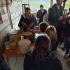 IMG_20241017_095057