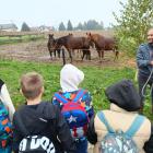 IMG_20241017_111728