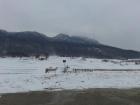 20140201_092448