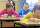 20140217_094850 (2)