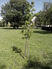 IMG_20140508_145249