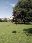 IMG_20140508_145307