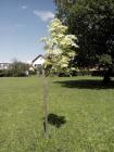 IMG_20140508_145327