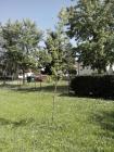 IMG_20140508_145339