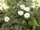 IMG_20140508_145347