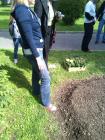 IMG_20140514_100137
