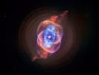 1_catseye_461