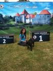 Cacib 2013 015