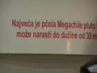P2200023