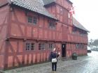 Aarhus (4)
