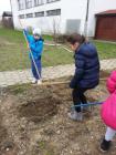 20150313_105652
