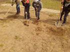 IMG_20150317_111321