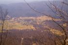 DSC01989