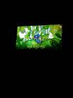 IMG_20150421_102602