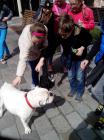 IMG_20150421_103907